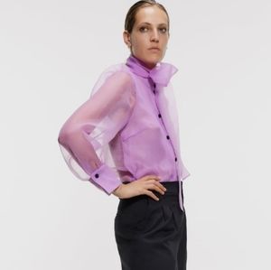 Zara | "Organza" blouse